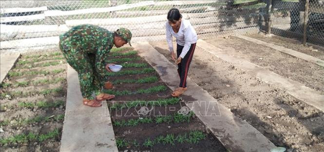 Các chiến sĩ Tiểu đoàn Huấn luyện cơ động, Bộ chỉ huy Biên phòng tỉnh Gia Lai hướng dẫn người dân kiến thức trồng trọt. Ảnh: TTXVN phát