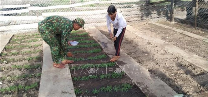 Các chiến sĩ Tiểu đoàn Huấn luyện cơ động, Bộ chỉ huy Biên phòng tỉnh Gia Lai hướng dẫn người dân kiến thức trồng trọt. Ảnh: TTXVN phát