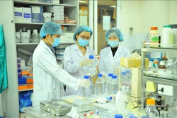 Phụ nữ Việt Nam ngày càng tham gia nhiều vào các lĩnh vực kinh tế, khoa học công nghệ cao, tuy nhiên, bình đẳng giới thật sự vẫn là một thách thức. Ảnh: TTXVN