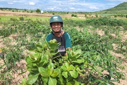 Gia Lai: Nhiều chính sách giúp đồng bào dân tộc thiểu số ổn định cuộc sống