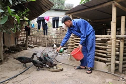 Tỉ lệ hộ nghèo ở xã Bum Tở, huyện Mường Tè lên tới 87,8%. Ảnh: Nguyễn Oanh-TTXVN