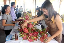 Bình Thuận: Tìm giải pháp sản xuất và tiêu thụ trái thanh long bền vững