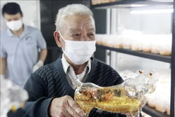 Bình rượu hình con hổ chuẩn bị cho Tết Nguyên đán Nhâm Dần 2022. Ảnh: Lê Ngọc Phước- TTXVN