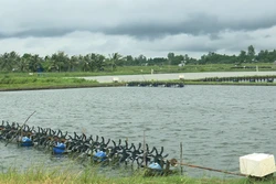 Huyện Mỹ Xuyên có thế mạnh phát triển kinh tế thủy sản. Đặc biệt, nuôi tôm nước lợ đang được đầu tư ứng dụng công nghệ cao, mở ra hướng phát triển bền vững. Ảnh: Chanh Đa