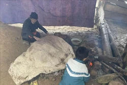 Người dân huyện vùng cao Bắc Yên, tỉnh Sơn La, phòng chống rét cho gia súc. Ảnh: Nguyễn Cường - TTXVN
