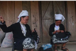 Người dân xóm Hoài Khao vẫn giữ được những nét văn hóa truyền thống của dân tộc Dao Tiền. Ảnh: Chu Hiệu - TTXVN