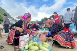 Bà con dân tộc Mông ở xã Tả Lèng (huyện Tam Đường) mang nông sản xuống bày bán tại chợ phiên San Thàng, thành phố Lai Châu. Ảnh: Đinh Thùy-TTXVN