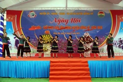 Biểu diễn văn nghệ tại Ngày hội. Ảnh: Thu Hằng – TTXVN
