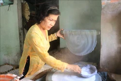 Bà Trần Thị Tuyết Mai, xã Lục Sĩ Thành, huyện Trà Ôn, tỉnh Vĩnh Long tỉ mỉ tráng từng chiếc bánh. Ảnh: Lê Thúy Hằng – TTXVN.