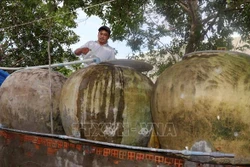 Tranh thủ vào mùa mưa, người dân sinh sống ven biển An Biên tận dụng lu để chứa nước sử dụng. Ảnh: Lê Sen - TTXVN