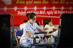 Cán bộ của Viện Huyết học và Truyền máu Trung ương thực hiện các bước tiếp nhận máu từ tình nguyện viên. Ảnh: Trọng Đạt - TTXVN 