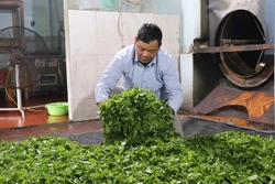 Thực hiện ba khâu đột phá phát triển kinh tế - xã hội ở huyện miền núi Đồng Hỷ