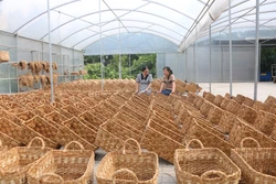 Đồng bằng sông Cửu Long đổi mới từ sức mạnh đoàn kết (Bài 2)