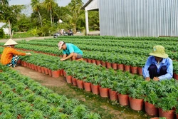 Đồng bằng sông Cửu Long đổi mới từ sức mạnh đoàn kết (Bài cuối)