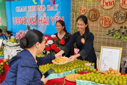 Gian hàng trưng bày giới thiệu sản phẩm hồng không hạt Bảo Lâm tại ngày hội. Ảnh: Quang Duy - TTXVN