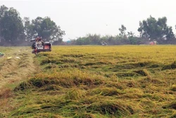 Huyện biên giới Giang Thành phấn đấu đạt tiêu chí nông thôn mới