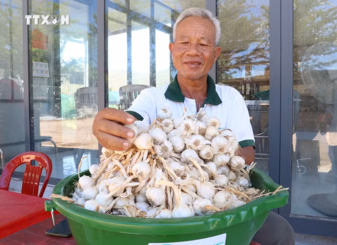 vna_potal_ninh_thuan_tuyen_chon_va_phuc_trang_thanh_cong_giong_toi_phan_rang_6907116.jpg