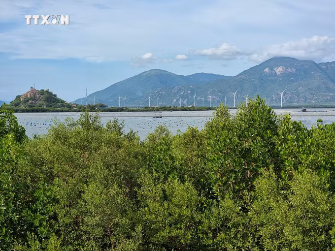 vna_potal_ninh_thuan_trien_khai_nhieu_giai_phap_de_thich_ung_bien_doi_khi_hau_7600132.jpg
