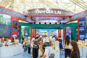 Ấn tượng gian hàng trưng bày, quảng bá sản phẩm đặc trưng, tiêu biểu của tỉnh Gia Lai