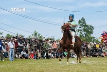 Kỵ mã thồ hàng tranh tài Hội đua ngựa truyền thống gò Thì Thùng