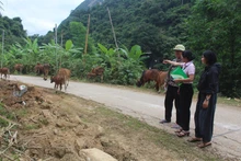 Đòn bẩy giúp đồng bào vùng cao biên giới Thanh Hóa thoát nghèo