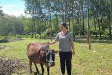 Dục Nông có thêm sinh kế thoát nghèo