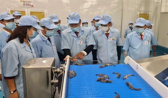 Bạc Liêu phấn đấu đạt chỉ tiêu kim ngạch xuất khẩu tôm 1 tỷ USD