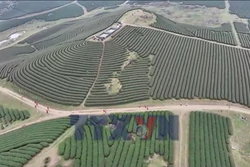 Chinh phục những cung đường mòn tuyệt đẹp ở Mộc Châu