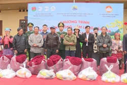 Tết đầm ấm, vui tươi, phấn khởi của người dân nơi biên cương