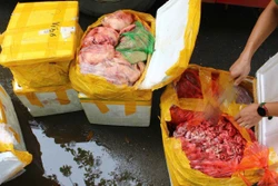 Ngăn chặn 476 kg nội tạng không rõ nguồn gốc tuồn ra thị trường