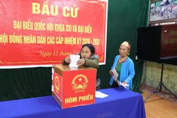 Ngày hội bầu cử sớm của đồng bào dân tộc Đan Lai