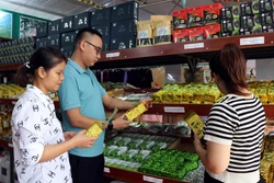 OCOP - Khi hai vùng đất chung một hành trình phát triển
