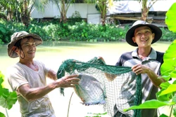 Làm giàu từ mô hình kinh tế tổng hợp