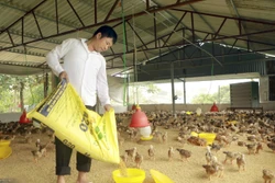 Tạo sinh kế bền vững, nâng cao thu nhập cho đồng bào dân tộc thiểu số