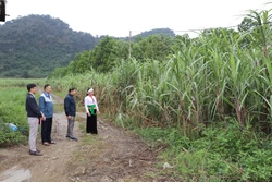 Chủ động tạo nguồn phát triển đảng viên vùng đồng bào dân tộc thiểu số