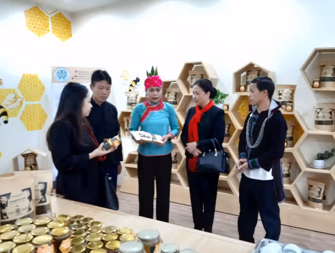 Khách hàng thăm quan cửa hàng của HTX Hoàng Liên
