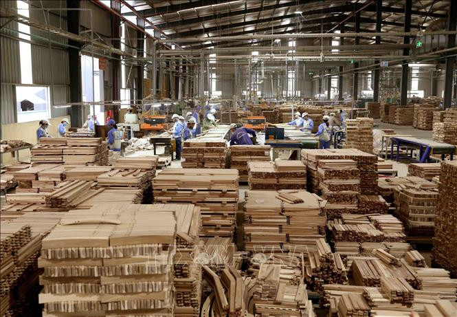 Ngành chế biến và xuất khẩu gỗ đã lội ngược dòng ấn tượng trong bối cảnh dịch COVID-19. Ảnh minh họa: Vũ Sinh/TTXVN Điểm sáng thực hiện “mục tiêu kép” - Bài 2 ảnh 1