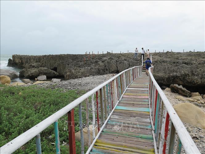 Cây cầu gỗ dẫn lên bãi san hô cổ. Ảnh: Minh Hưng - TTXVN Du lịch Ninh Thuận - dấu ấn từ vùng đất nhiều nắng gió (Bài 1) ảnh 2