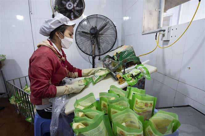 Đóng gói măng taị Công ty cổ phần Kim Bôi (Hòa Bình). Ảnh: Trọng Đạt - TTXVN Hòa Bình hướng đến xuất khẩu các mặt hàng nông sản tiêu biểu ảnh 3