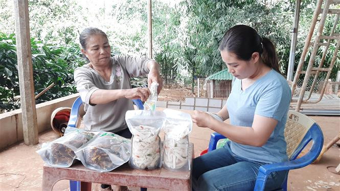 Sản phẩm OCOP 3 sao Măng giòn Vân Long của hộ kinh doanh Hồ Thị Vân ở thôn Kop, xã Kon Gang, huyện Đăk Đoa, tỉnh Gia Lai. Ảnh: Hoài Nam - TTXVN Nâng cao chất lượng sản phẩm đặc trưng Tây Nguyên ảnh 2