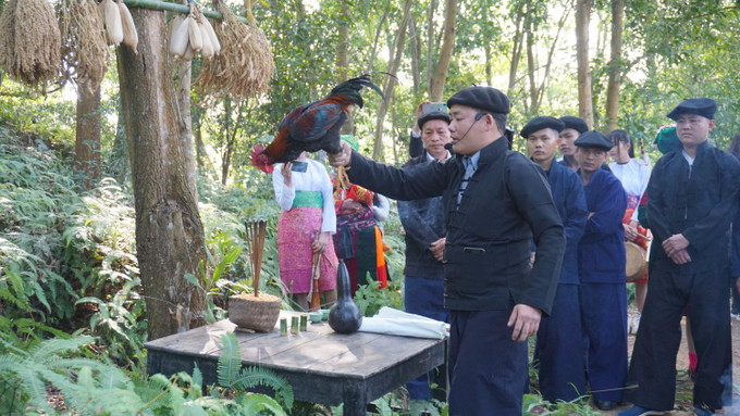 Thầy cúng làm lễ cúng sống. Ảnh: Hoàng Hải Tái hiện Lễ cúng thần rừng đầu nguồn của đồng bào dân tộc Mông ảnh 5