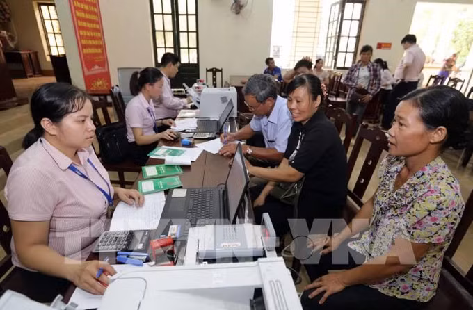 Hiệu quả các mô hình xóa nghèo trong đảng viên ở Hậu Giang ảnh 1