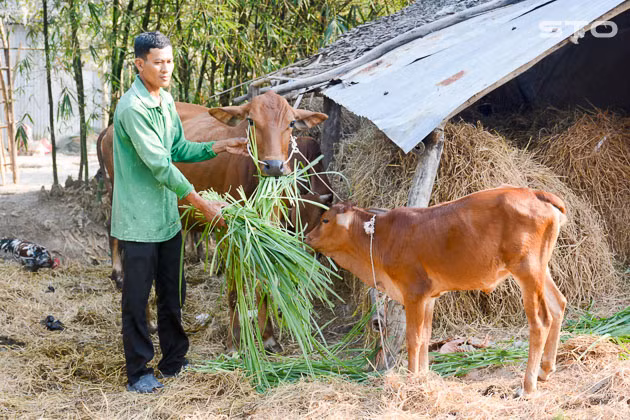 Sóc Trăng nỗ lực giảm nhanh hộ nghèo ở vùng đồng bào Khmer ảnh 1