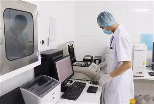 Việt Nam phát chủng virus biến thể mới SARS-CoV-2 của Nam Phi có khả năng lây lan nhanh ảnh 1