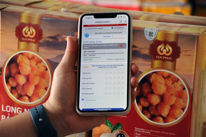 Long nhãn sấy khô của Hợp tác xã dịch vụ nông nghiệp Bảo Minh là một trong những sản phẩm OCOP đạt tiêu chuẩn 3 sao từ năm 2019. Ảnh: Quang Quyết - TTXVN Khẳng định thương hiệu nhãn Sông Mã ảnh 4