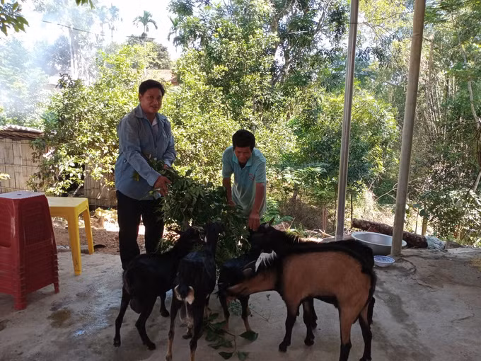 Anh Đinh Văn Kia, nông dân trẻ người Hrê với khát vọng làm giàu ảnh 1