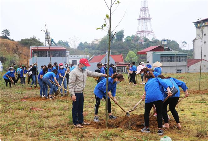 Đoàn viên thanh niên tỉnh Lai Châu sôi nổi trồng cây tại thành phố Lai Châu. Ảnh: Đinh Thùy - TTXVN Tỉnh đoàn Lai Châu khởi động Tháng Thanh niên và hưởng ứng Tết trồng cây Xuân Tân Sửu 2021 ảnh 2