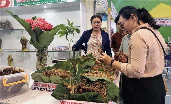 Du khách và người dân tham quan, mua sắm tại Phiên chợ sâm Ngọc Linh lần thứ 39. Ảnh: Trịnh Bang Nhiệm - TTXVN Quảng Nam tổ chức Phiên chợ sâm Ngọc Linh lần thứ 39 ảnh 1