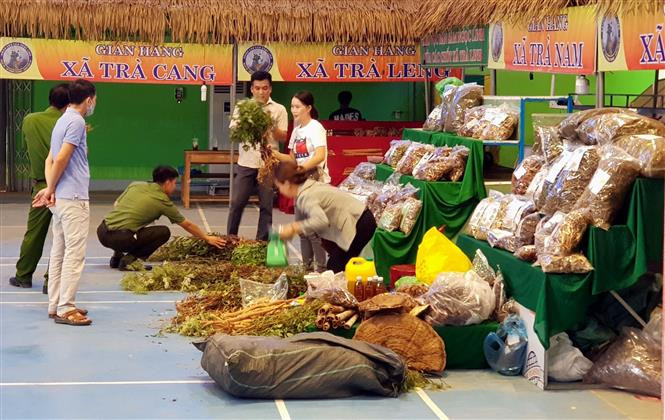 Du khách và người dân tham quan, mua sắm tại Phiên chợ sâm Ngọc Linh lần thứ 39. Ảnh: Trịnh Bang Nhiệm - TTXVN Quảng Nam tổ chức Phiên chợ sâm Ngọc Linh lần thứ 39 ảnh 3
