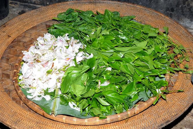 Để có những bông hoa Ban tươi, ngon chế biến các món ăn hàng ngày, người phụ nữ dân tộc Thái phải thức dậy từ rất sớm, lên rừng hái những bông hoa còn đọng sương. Ảnh: Quang Quyết-TTXVN Những món ăn độc đáo từ hoa ban ảnh 1